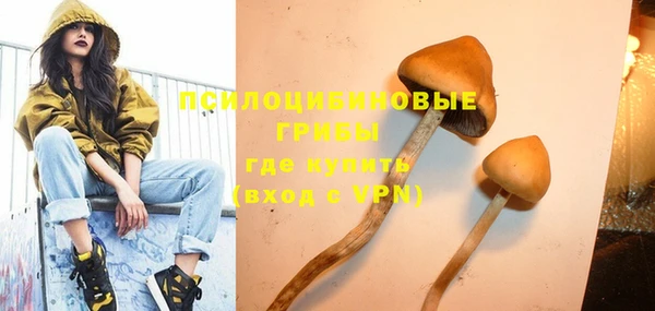 дурь Белоозёрский
