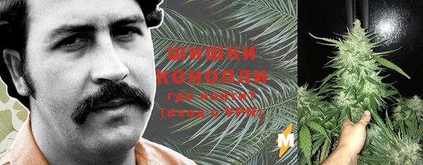 мяу мяу кристалл Костерёво