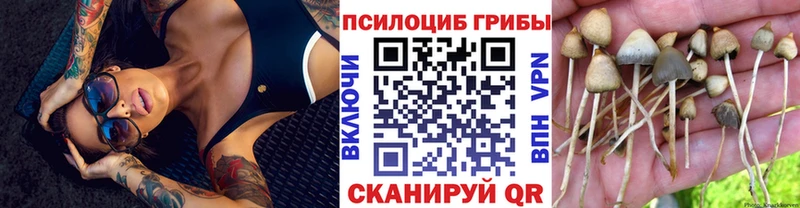 Галлюциногенные грибы прущие грибы  Высоковск 