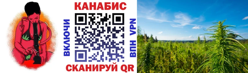 купить наркотик  Высоковск  Конопля сатива 